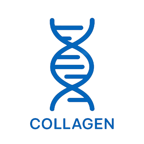 Colágeno