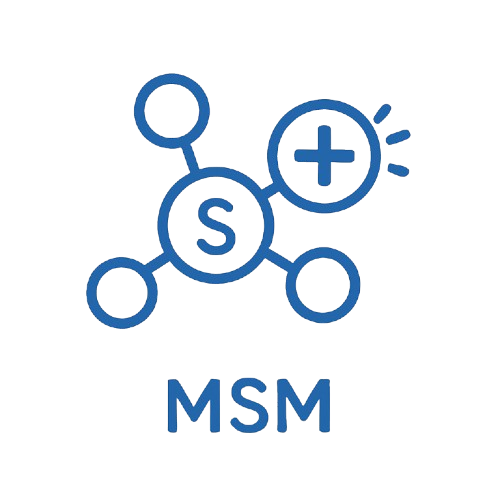 MSM